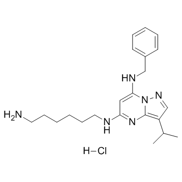 BS 181 盐酸盐-凯途化工网