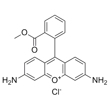 罗丹明123-凯途化工网