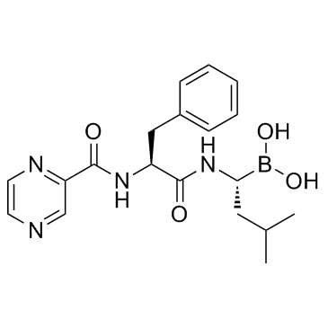 硼替佐米-凯途化工网