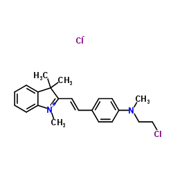 阳离子桃红FG-凯途化工网