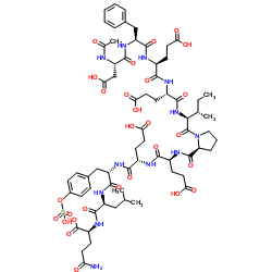 Acetyl-Hirudin (55-65) (sulfated)-凯途化工网