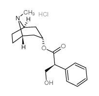 莨菪鹼鹽酸鹽-凯途化工网