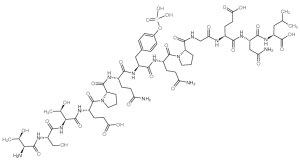 磷酸化 PP60 C-SRC (521-533)-凯途化工网