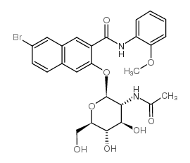 萘酚AS-BIN-乙酰基-β-D-氨基葡糖苷-凯途化工网