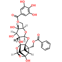 6'-O-没食子酰芍药苷-凯途化工网