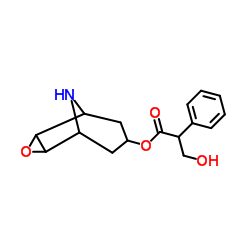 去甲东莨菪碱-凯途化工网