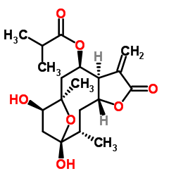 圆叶肿柄菊素 A-凯途化工网