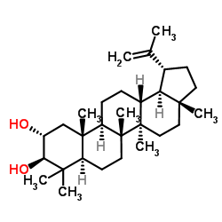 2ALPHA-羟基羽扇豆醇-凯途化工网