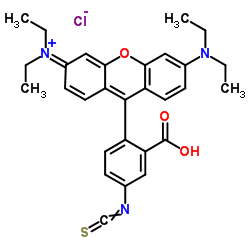 异硫氰酸罗丹明B-凯途化工网