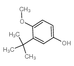 2-叔丁基-4-羟基茴香醚-凯途化工网