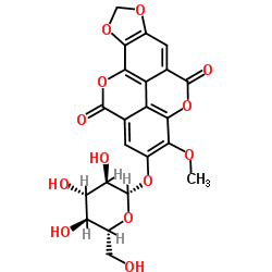 紫树甙-凯途化工网