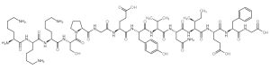 LYS-LYS-IRS-1 (891-902) (DEPHOSPHORYLATED) (HUMAN)-凯途化工网