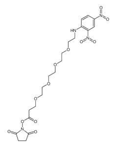 DNP-PEG4-NHS ester-凯途化工网