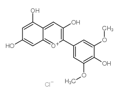 氯化锦葵素-凯途化工网