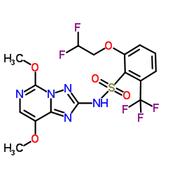 五氟磺草胺-凯途化工网