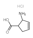 顺式-2-氨基-3-环戊烯-1-羧酸 盐酸盐-凯途化工网