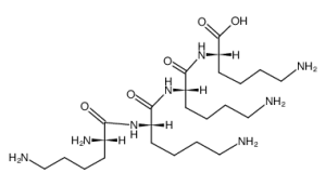 四聚赖氨酸-凯途化工网