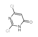 2,6-二氯-1H-嘧啶-4-酮-凯途化工网