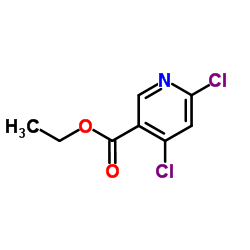 4,6-二氯烟酸乙酯-凯途化工网