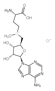 S-(5'-腺苷基)-L-氯化蛋氨酸-凯途化工网