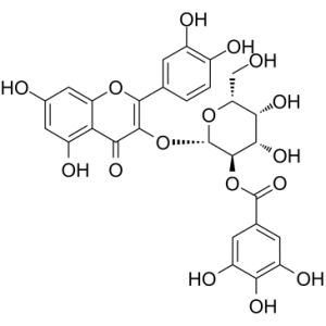 2''-O-没食子酰基金丝桃苷-凯途化工网