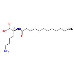 月桂酰赖氨酸-凯途化工网