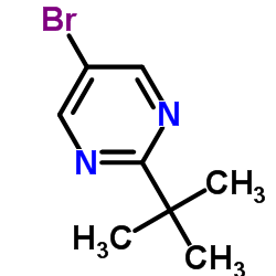 5-溴-2-叔丁基嘧啶-凯途化工网