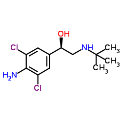 克伦特罗-凯途化工网