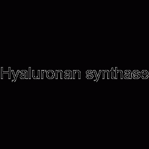 Hyaluronan synthase-凯途化工网