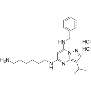 BS-181 dihydrochloride-凯途化工网