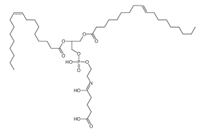 1,2-DIOLEOYL-SN-GLYCERO-3-PHOSPHO[N-(4-CARBOXYBUTANOYL)ETHANOLAMINE]-凯途化工网