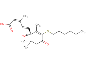 AS6-凯途化工网