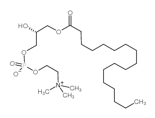 1-十七碳酰-甘油-3-磷酰胆碱-凯途化工网