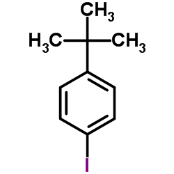 1-叔丁基-3-碘苯-凯途化工网