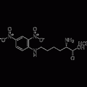 Nε-(2,4-二硝基苯基)-L-赖氨酸盐酸盐-凯途化工网