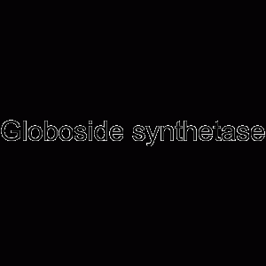 Globoside synthetase-凯途化工网