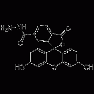 FAM hydrazide, 6-isomer-凯途化工网