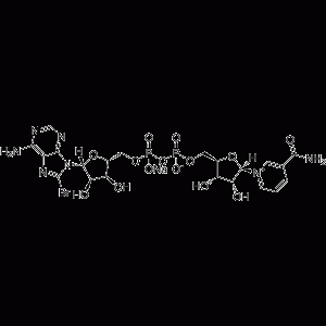 8-Br-NAD+ sodium-凯途化工网