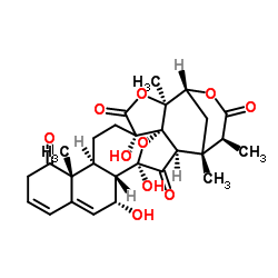 酸浆苦素L-凯途化工网