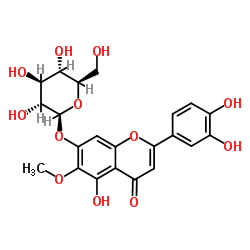 假荆芥属苷-凯途化工网