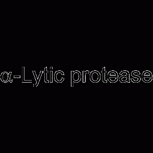 α-lytic endopeptidase-凯途化工网