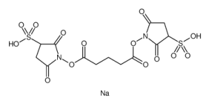 BS2G Crosslinker disodium-凯途化工网