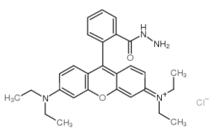 罗丹明B酰肼-凯途化工网