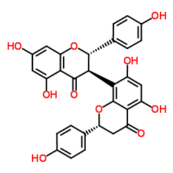 GB-1A-凯途化工网