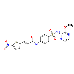 N-(4-(N-(3-甲氧基吡嗪-2)氨磺酰基)苯基)-3-(5-硝基噻吩-2-基)丙烯酰胺-凯途化工网