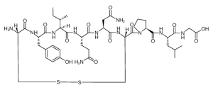 Oxytocin free acid-凯途化工网