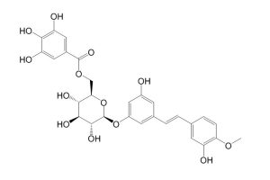 Rhaponticin 6′′-O-gallate-凯途化工网