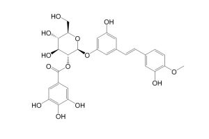 Rhaponticin 2′′-O-gallate-凯途化工网