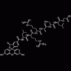 Kemptide, 5-FAM labeled-凯途化工网