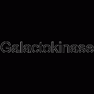 Galactokinase-凯途化工网